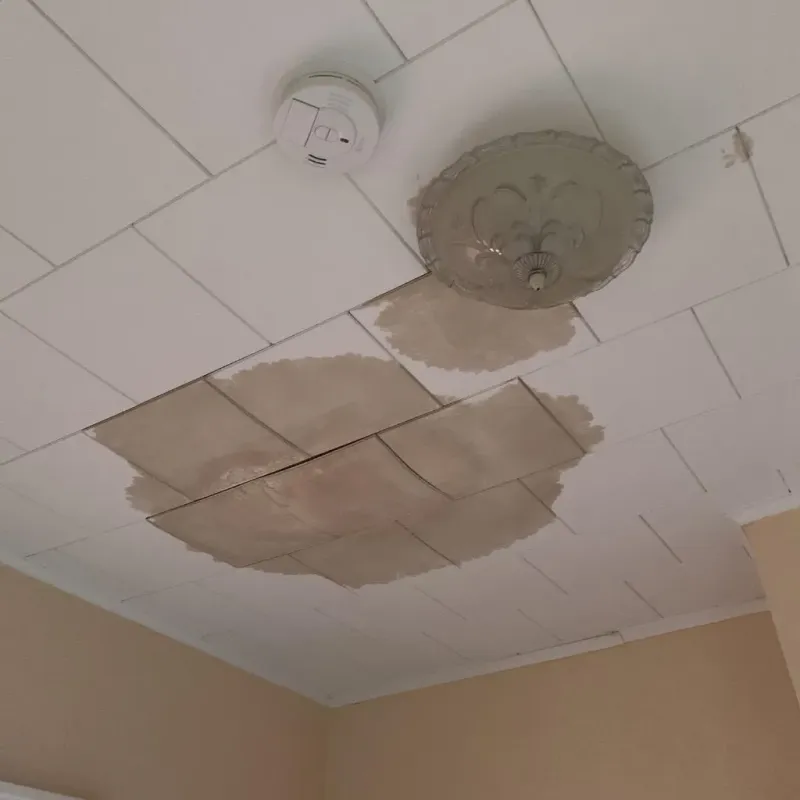 Ceiling Water Damage Repair in Columbia County, AR